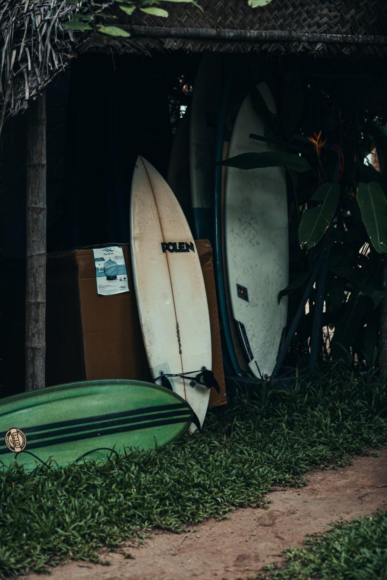 Paddlecult Surf Retreat Bed & Breakfast วาร์คาลา ภายนอก รูปภาพ