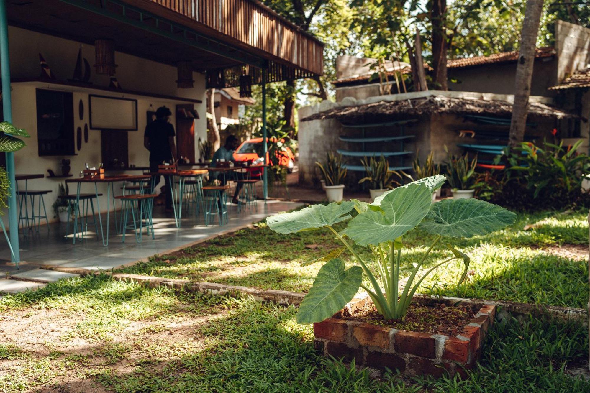 Paddlecult Surf Retreat Bed & Breakfast วาร์คาลา ภายนอก รูปภาพ